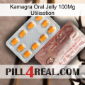 Kamagra Oral Jelly 100Mg Use new13